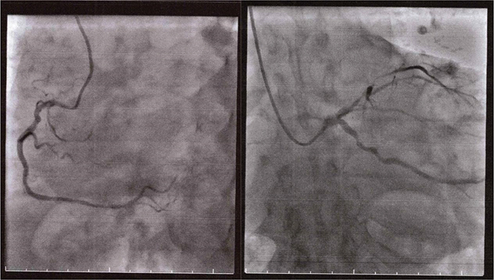 Click to Enlarge View Fig 4